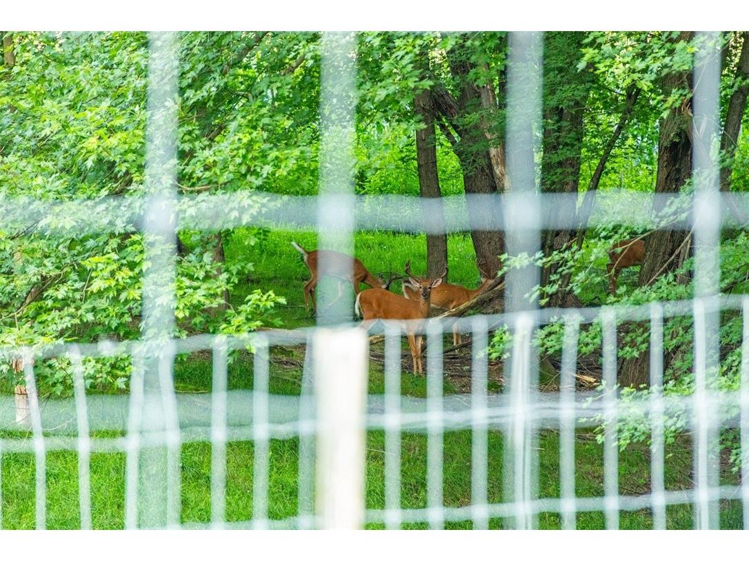 N34701 County Road S Blair WI 54616 - FLY 1594015 image13