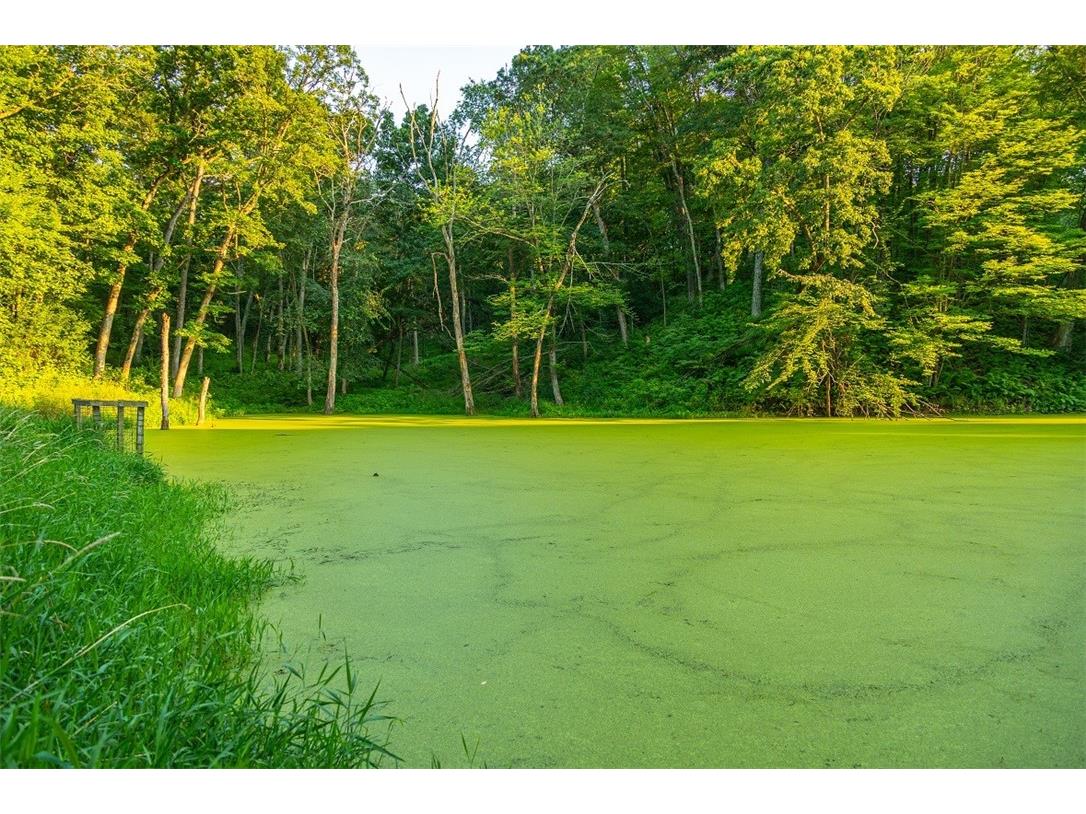 N34701 County Road S Blair WI 54616 - FLY 1594015 image14