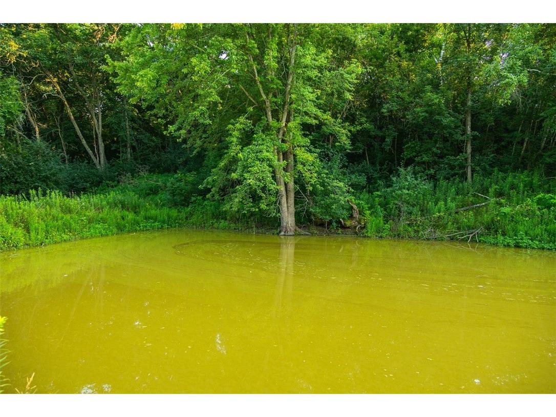 N34701 County Road S Blair WI 54616 - FLY 1594015 image17