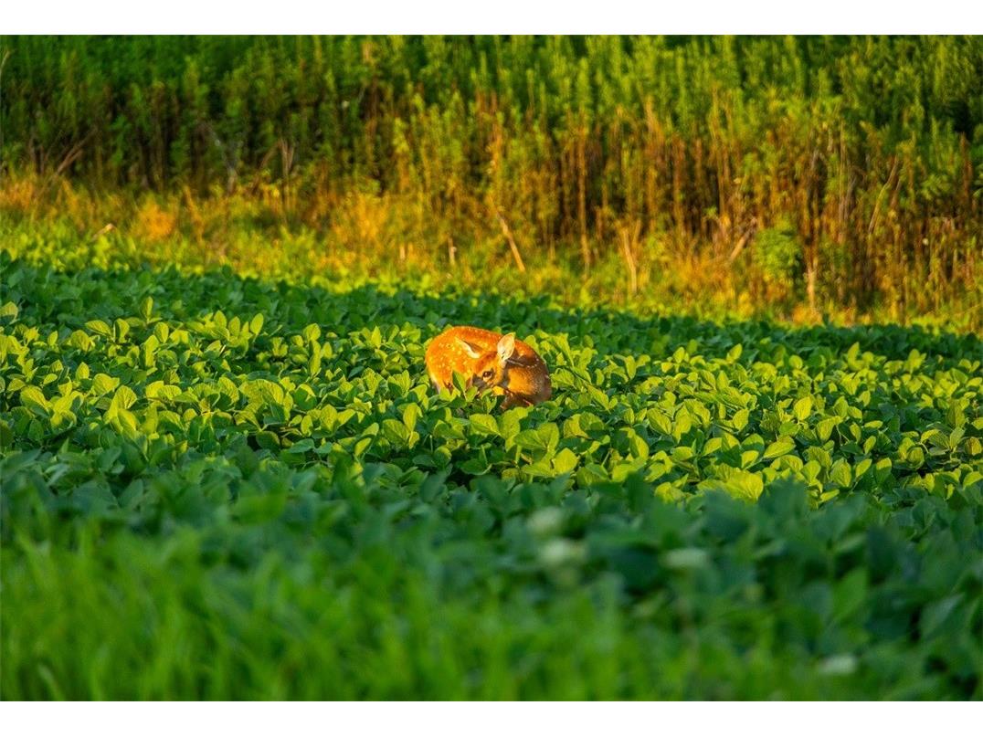 N34701 County Road S Blair WI 54616 - FLY 1594015 image18