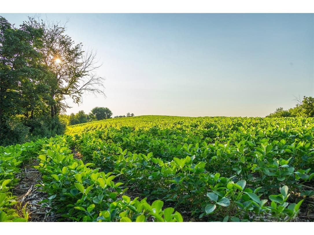 N34701 County Road S Blair WI 54616 - FLY 1594015 image2