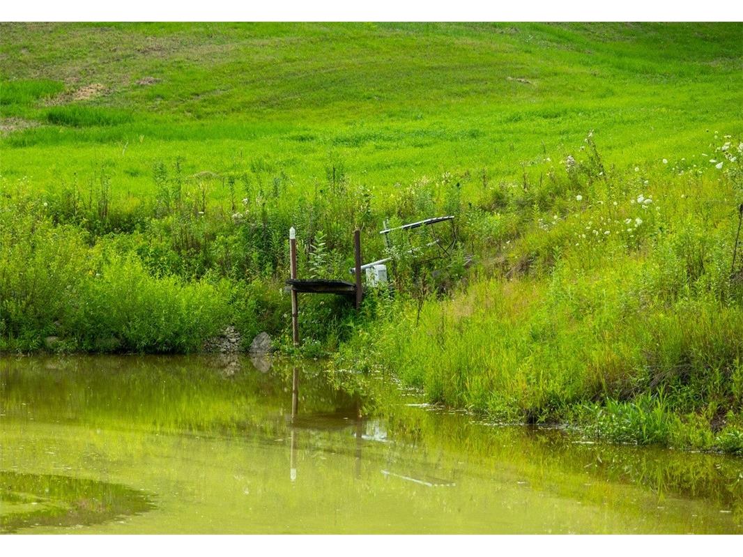 N34701 County Road S Blair WI 54616 - FLY 1594015 image20