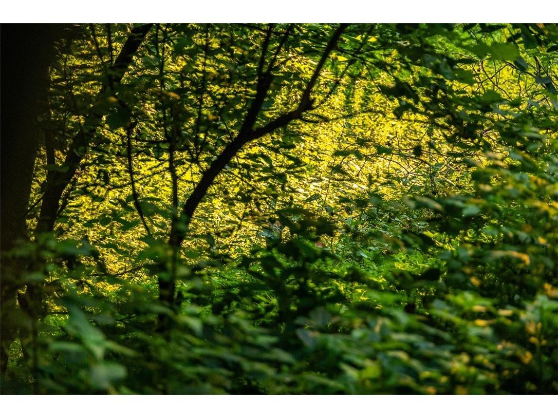 N34701 County Road S Blair WI 54616 - FLY 1594015 image22