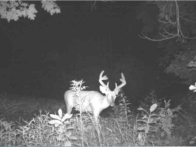 N34701 County Road S Blair WI 54616 - FLY 1594015 image24