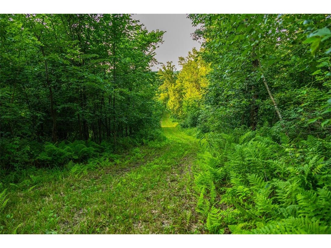 N34701 County Road S Blair WI 54616 - FLY 1594015 image28