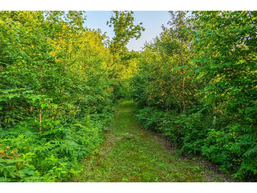 N34701 County Road S Blair WI 54616 - FLY 1594015 image29