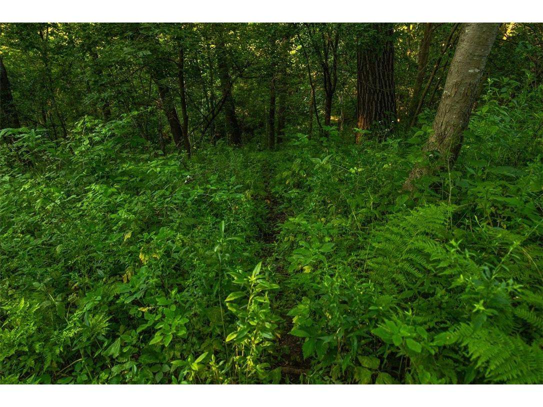 N34701 County Road S Blair WI 54616 - FLY 1594015 image3