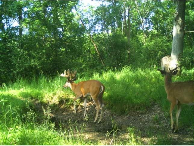 N34701 County Road S Blair WI 54616 - FLY 1594015 image30