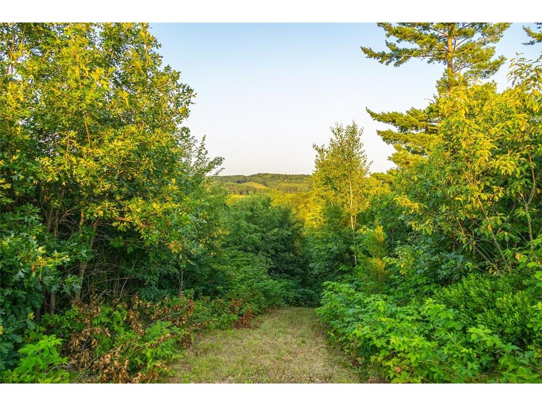 N34701 County Road S Blair WI 54616 - FLY 1594015 image33