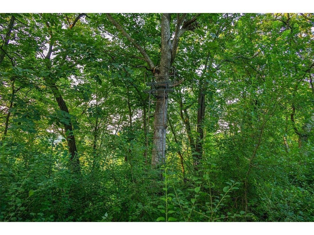 N34701 County Road S Blair WI 54616 - FLY 1594015 image34