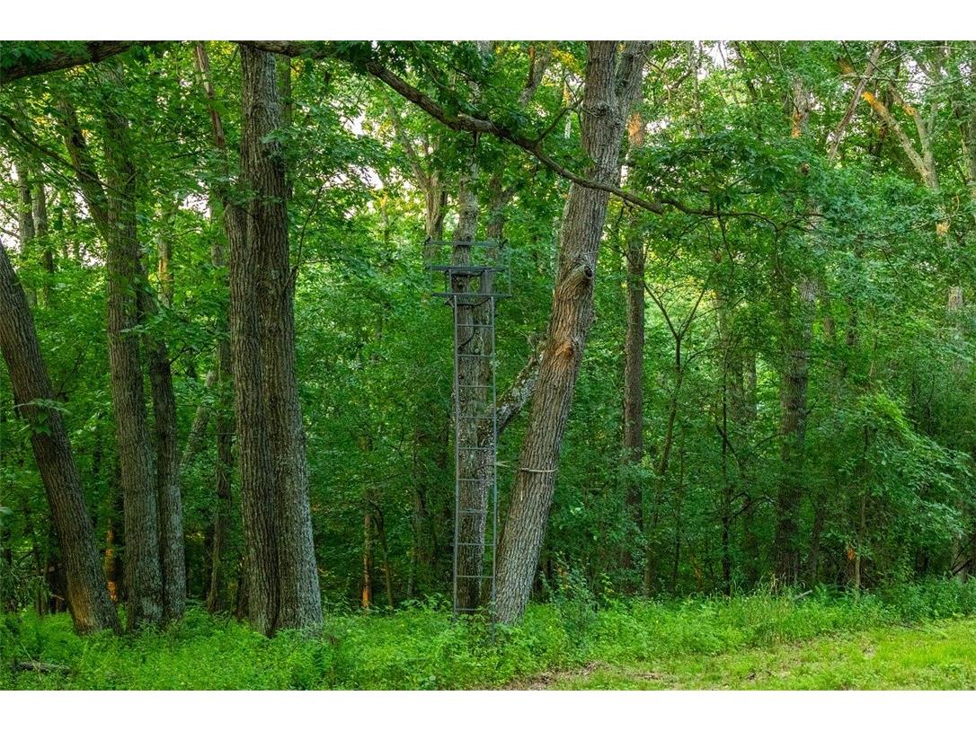 N34701 County Road S Blair WI 54616 - FLY 1594015 image36