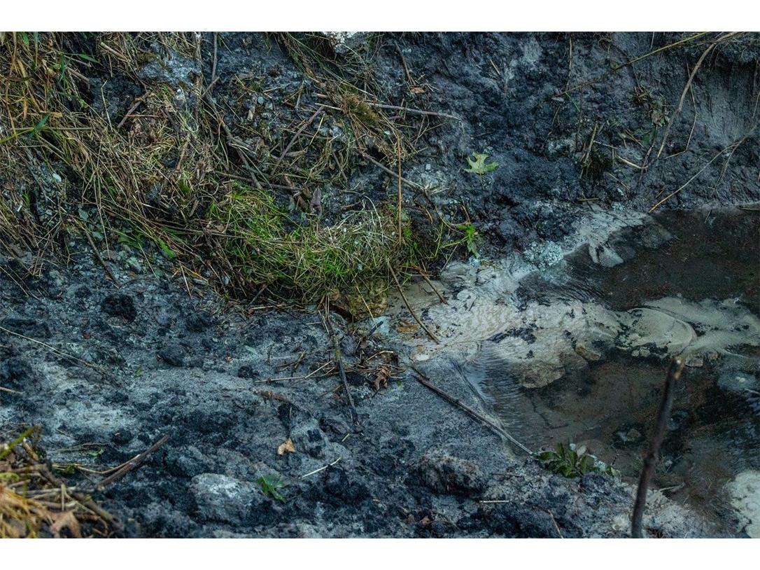 N34701 County Road S Blair WI 54616 - FLY 1594015 image38