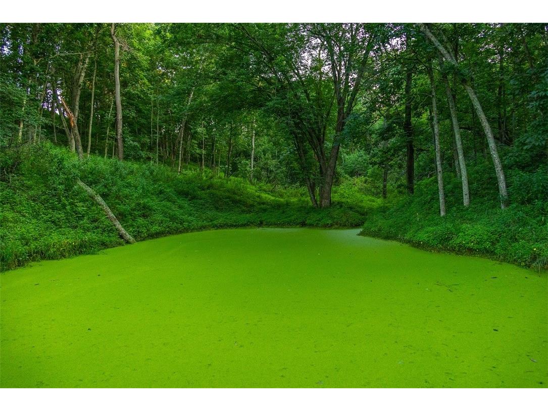 N34701 County Road S Blair WI 54616 - FLY 1594015 image39