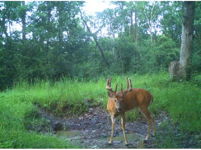 N34701 County Road S Blair WI 54616 - FLY 1594015 image40