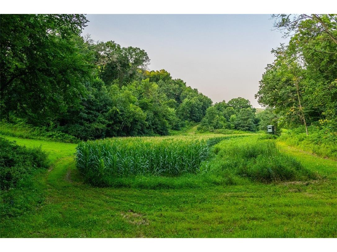 N34701 County Road S Blair WI 54616 - FLY 1594015 image42