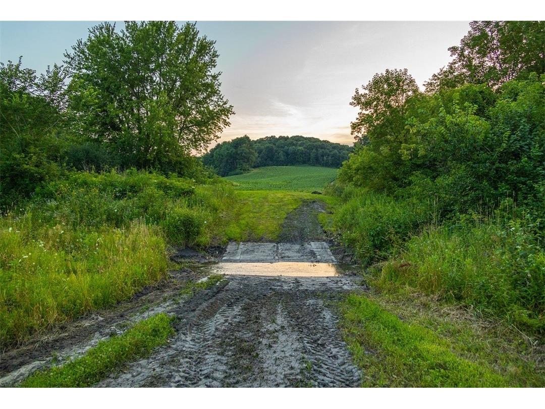 N34701 County Road S Blair WI 54616 - FLY 1594015 image44