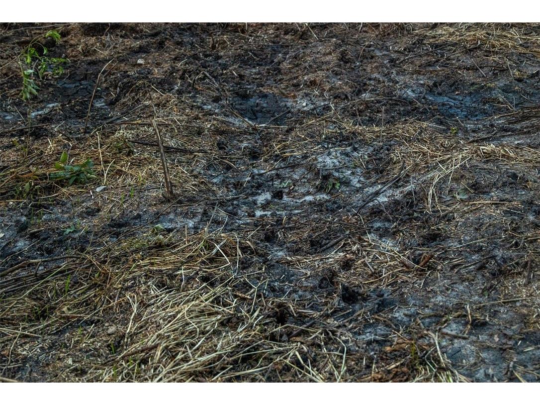 N34701 County Road S Blair WI 54616 - FLY 1594015 image46