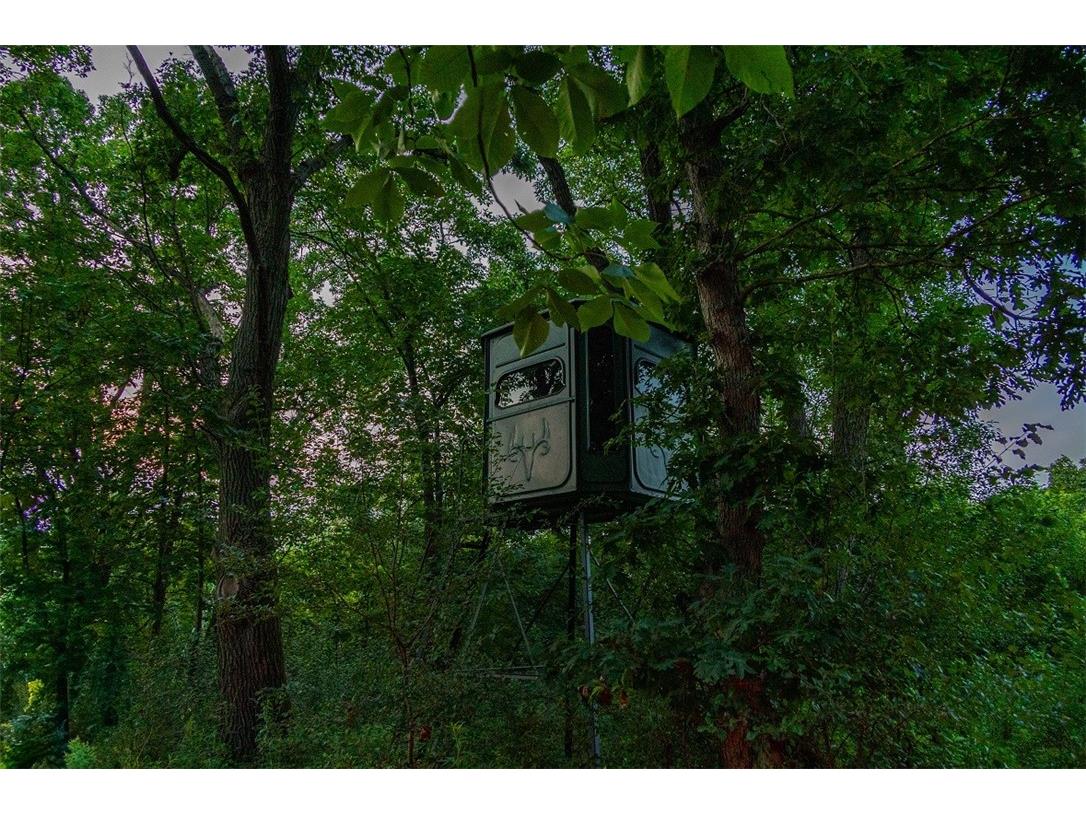 N34701 County Road S Blair WI 54616 - FLY 1594015 image48