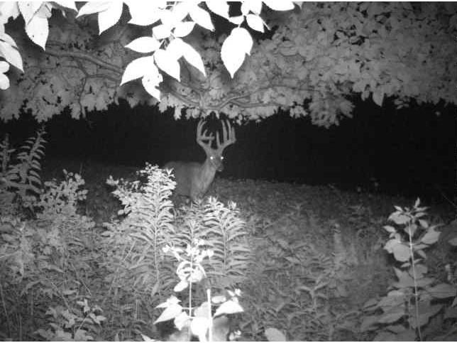 N34701 County Road S Blair WI 54616 - FLY 1594015 image5