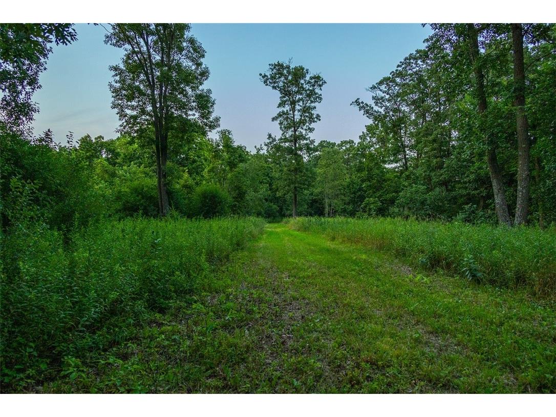 N34701 County Road S Blair WI 54616 - FLY 1594015 image50