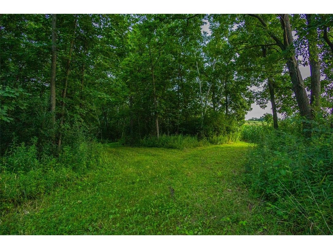 N34701 County Road S Blair WI 54616 - FLY 1594015 image51