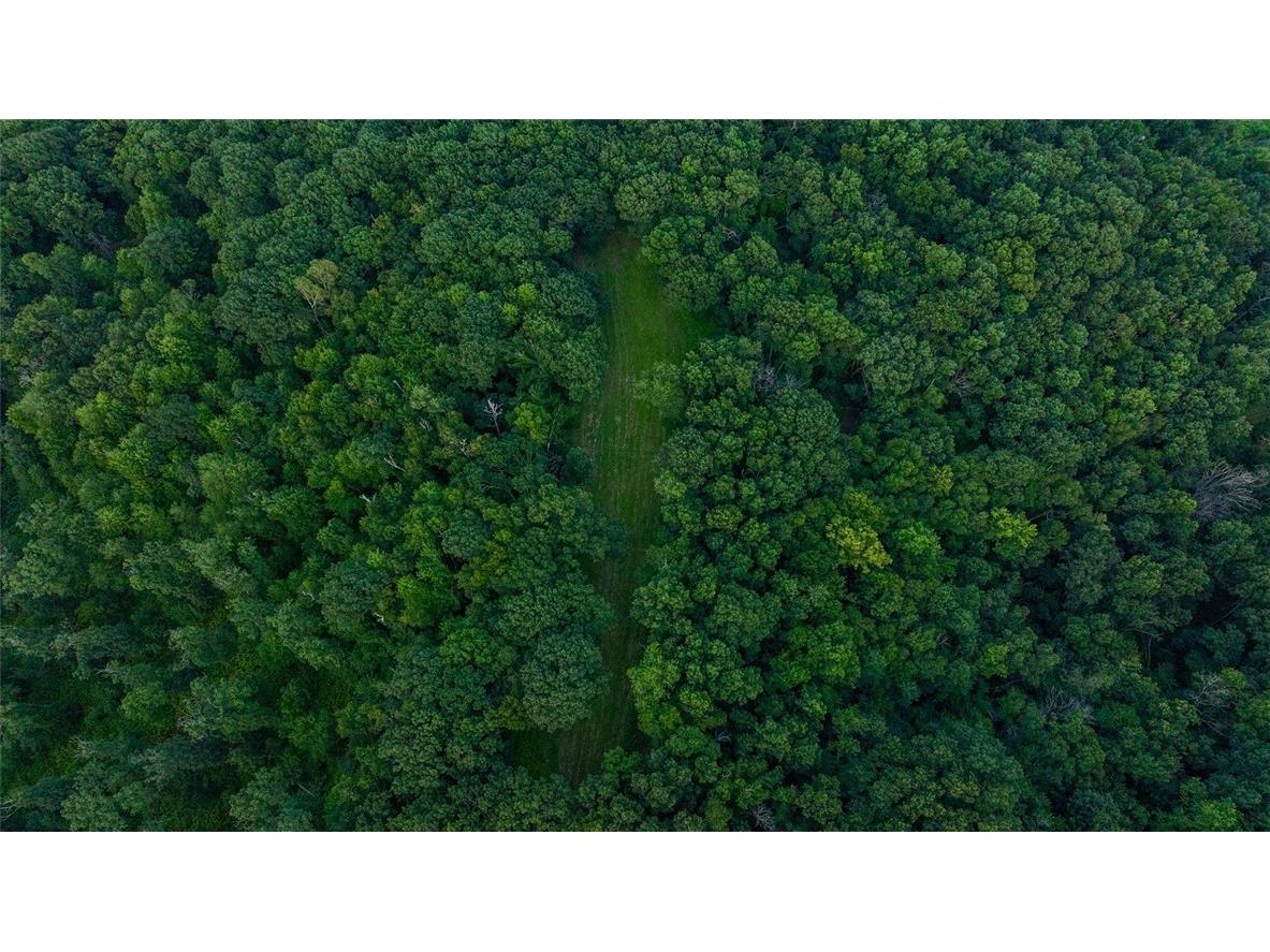 N34701 County Road S Blair WI 54616 - FLY 1594015 image53