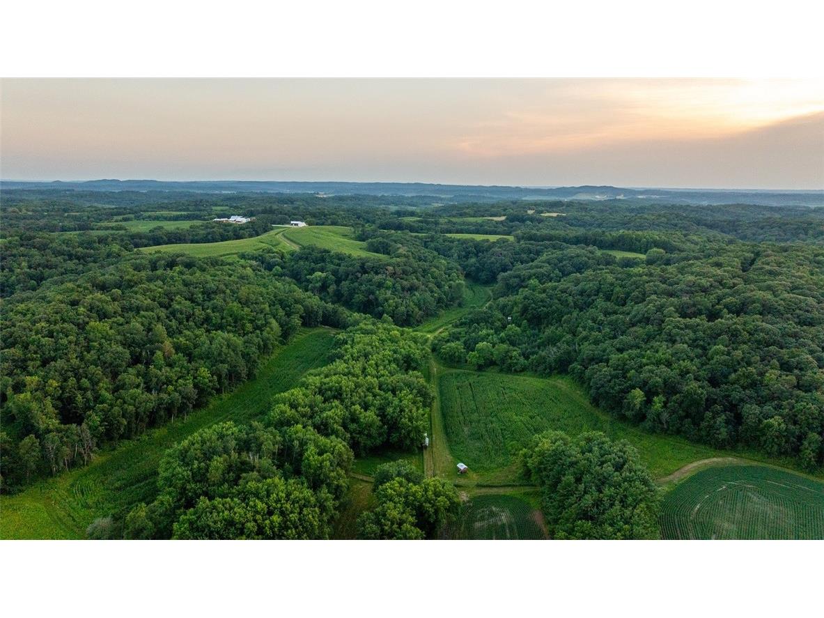 N34701 County Road S Blair WI 54616 - FLY 1594015 image54