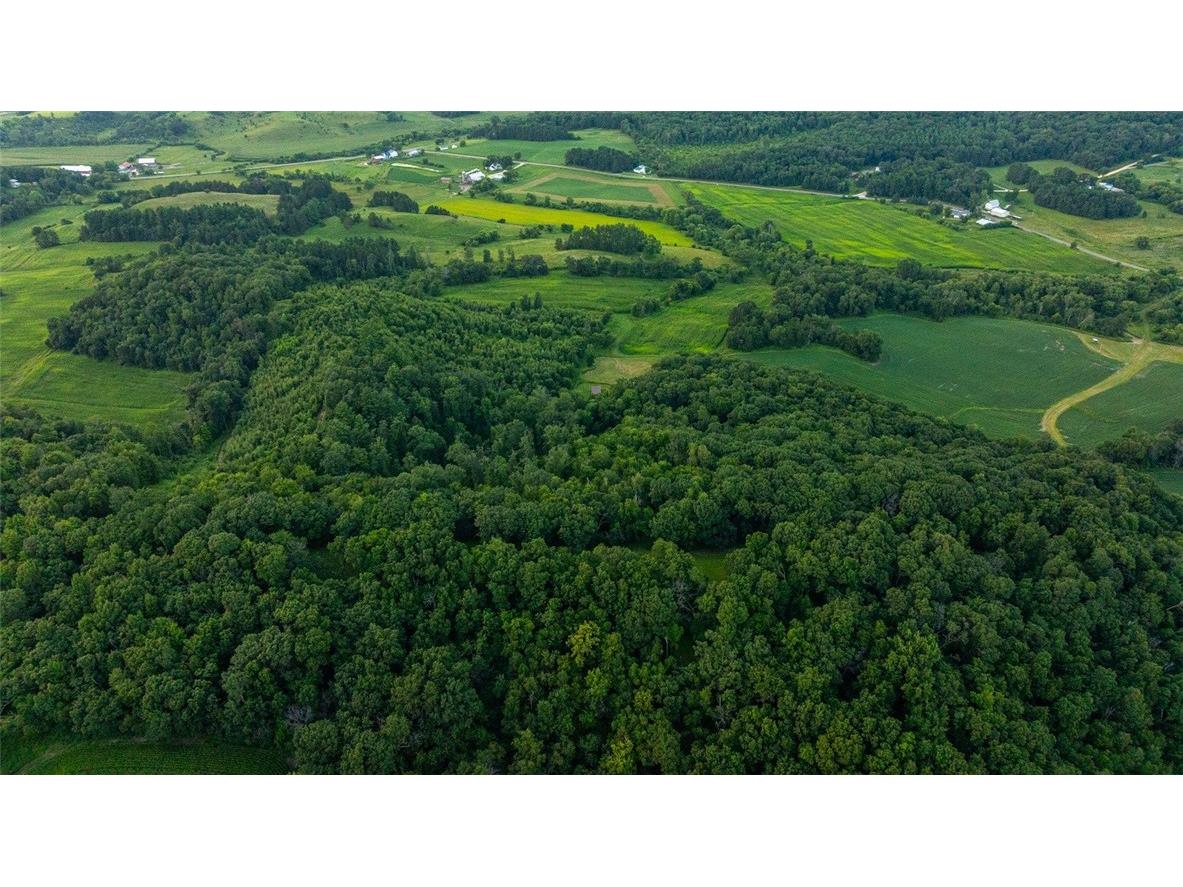 N34701 County Road S Blair WI 54616 - FLY 1594015 image55