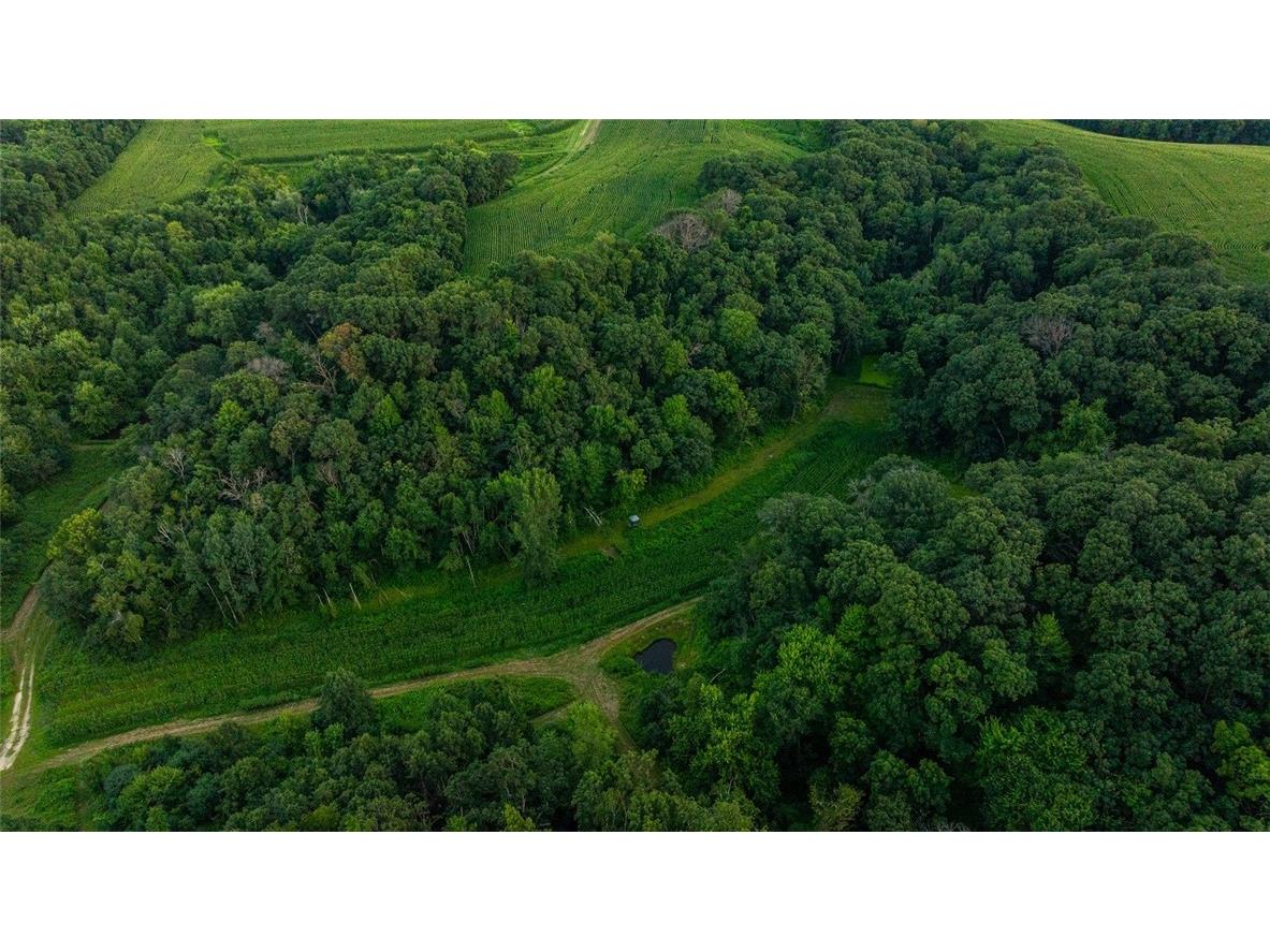 N34701 County Road S Blair WI 54616 - FLY 1594015 image57