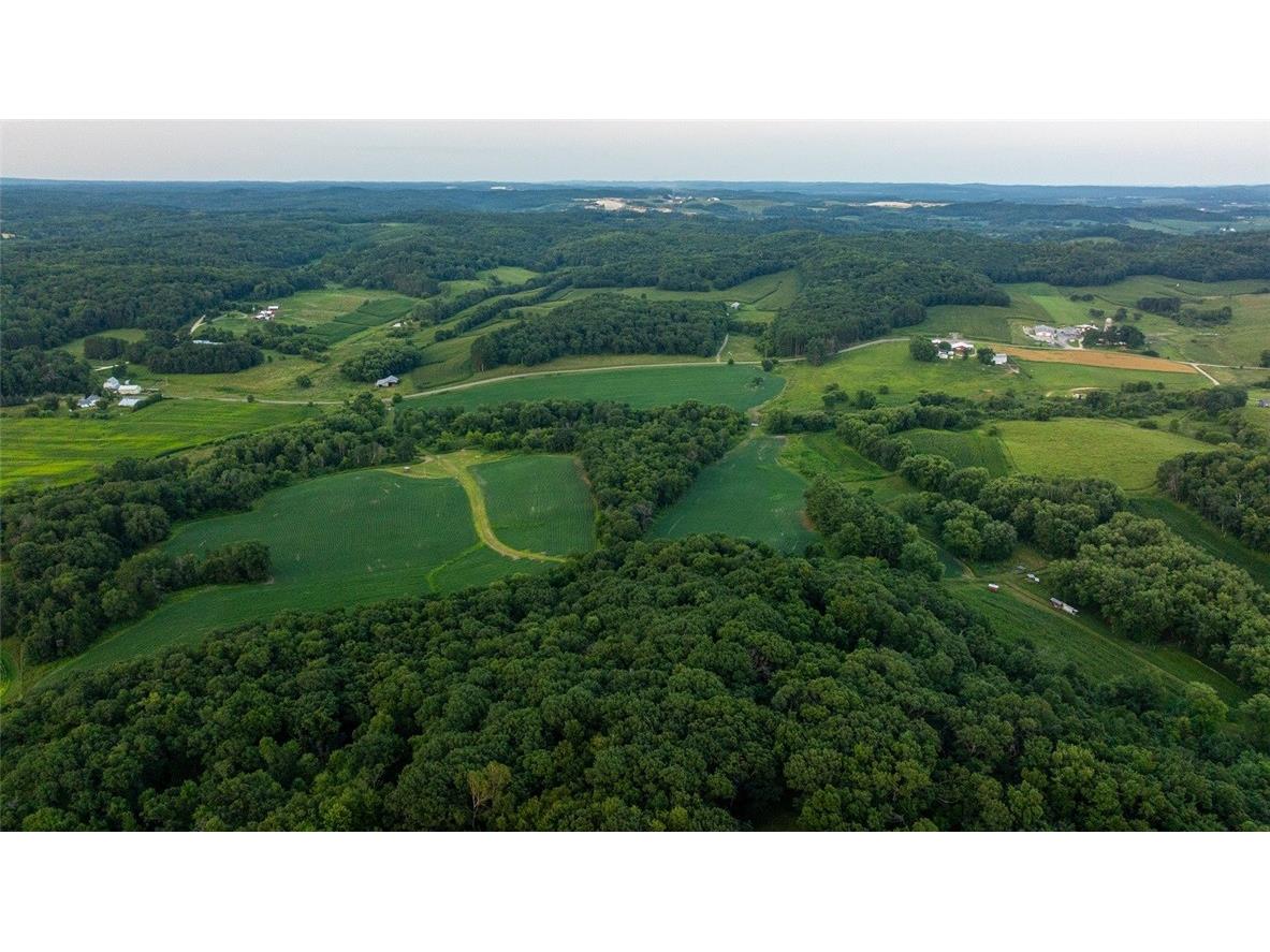 N34701 County Road S Blair WI 54616 - FLY 1594015 image59