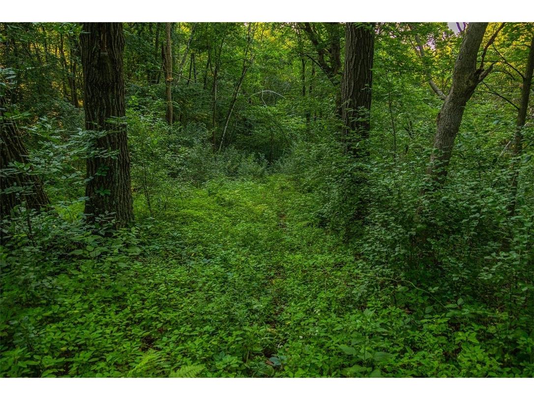 N34701 County Road S Blair WI 54616 - FLY 1594015 image6