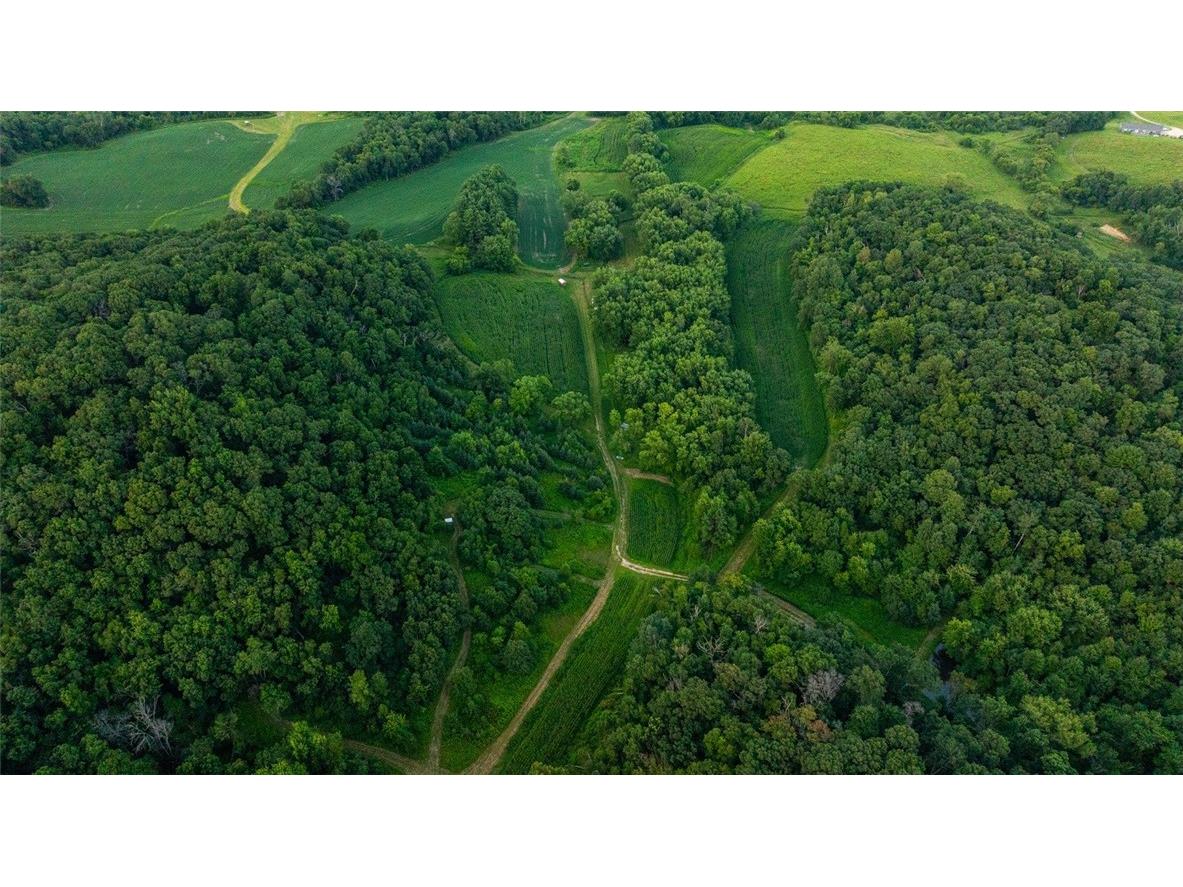 N34701 County Road S Blair WI 54616 - FLY 1594015 image60