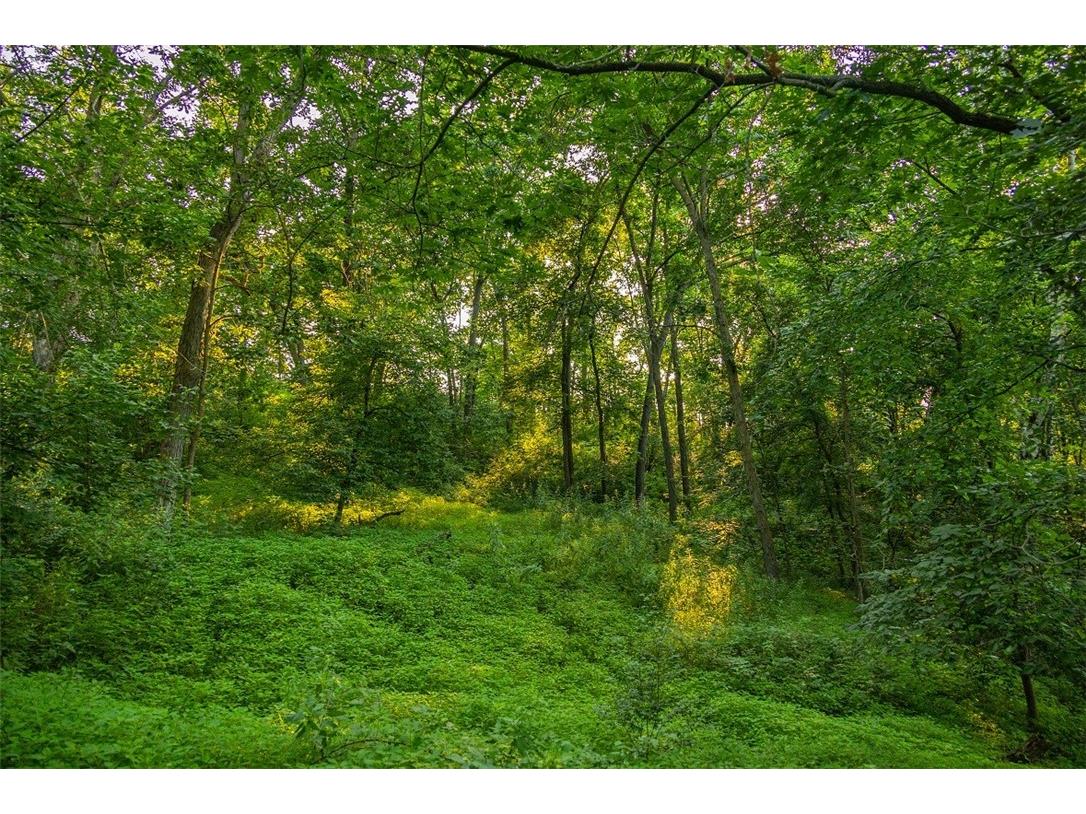 N34701 County Road S Blair WI 54616 - FLY 1594015 image7