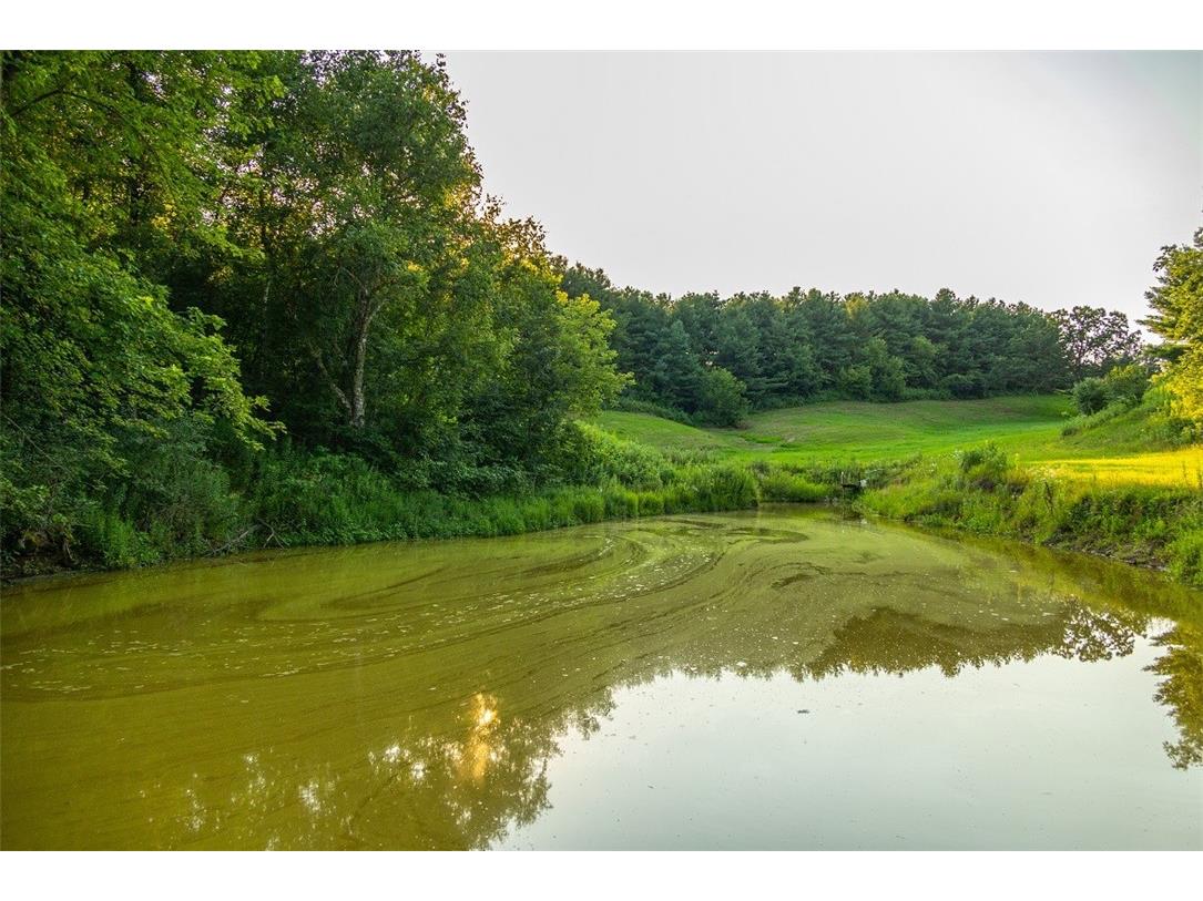 N34701 County Road S Blair WI 54616 - FLY 1594015 image8
