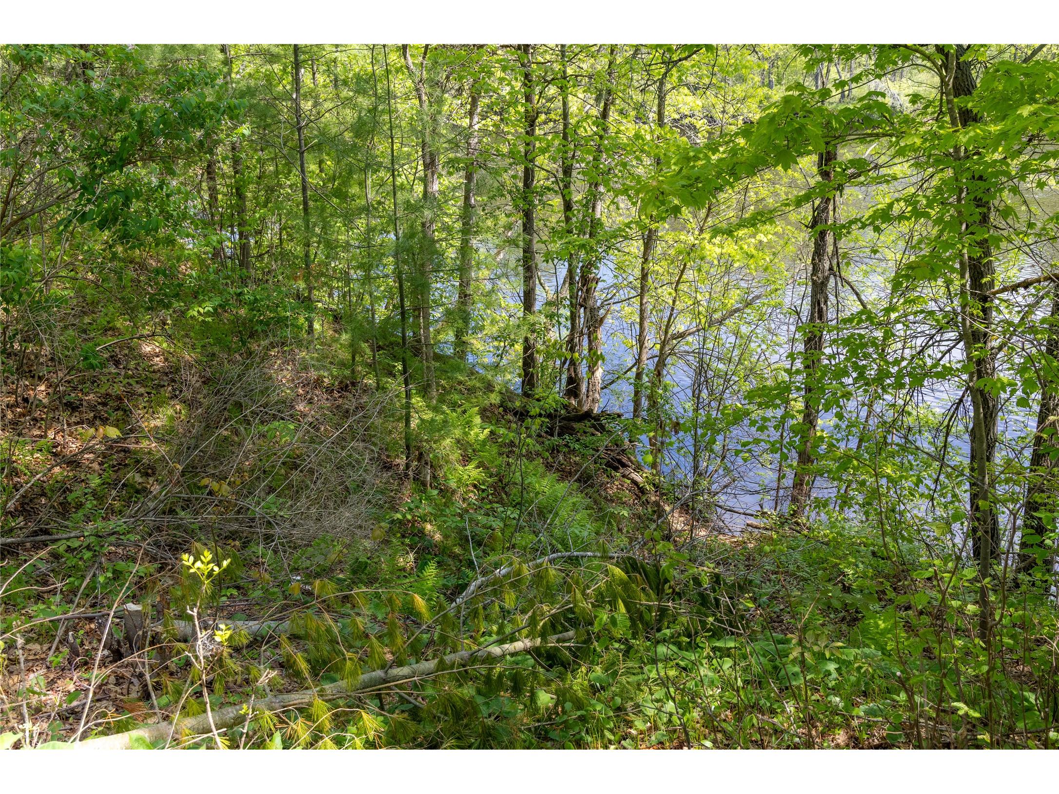N3570 River Road Bruce WI 54819 - Chippewa 1601388 image40