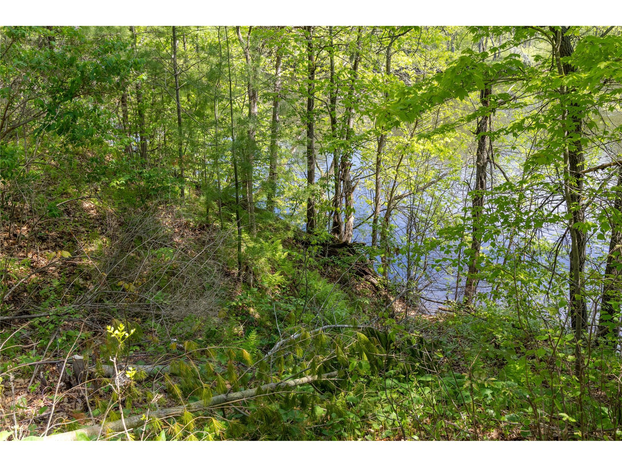 N3570 River Road Bruce WI 54819 - Chippewa 1601388 image41