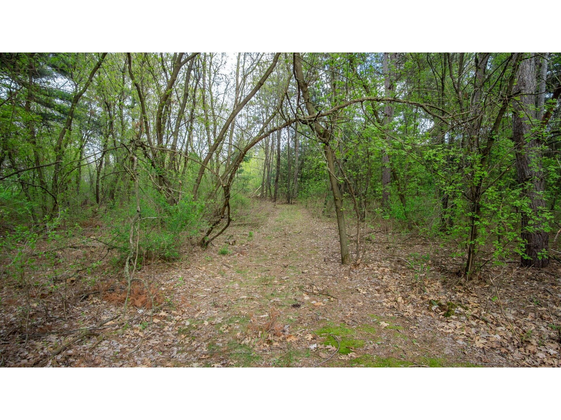 N3590 890th Street Elk Mound WI 54739 1599998 image55