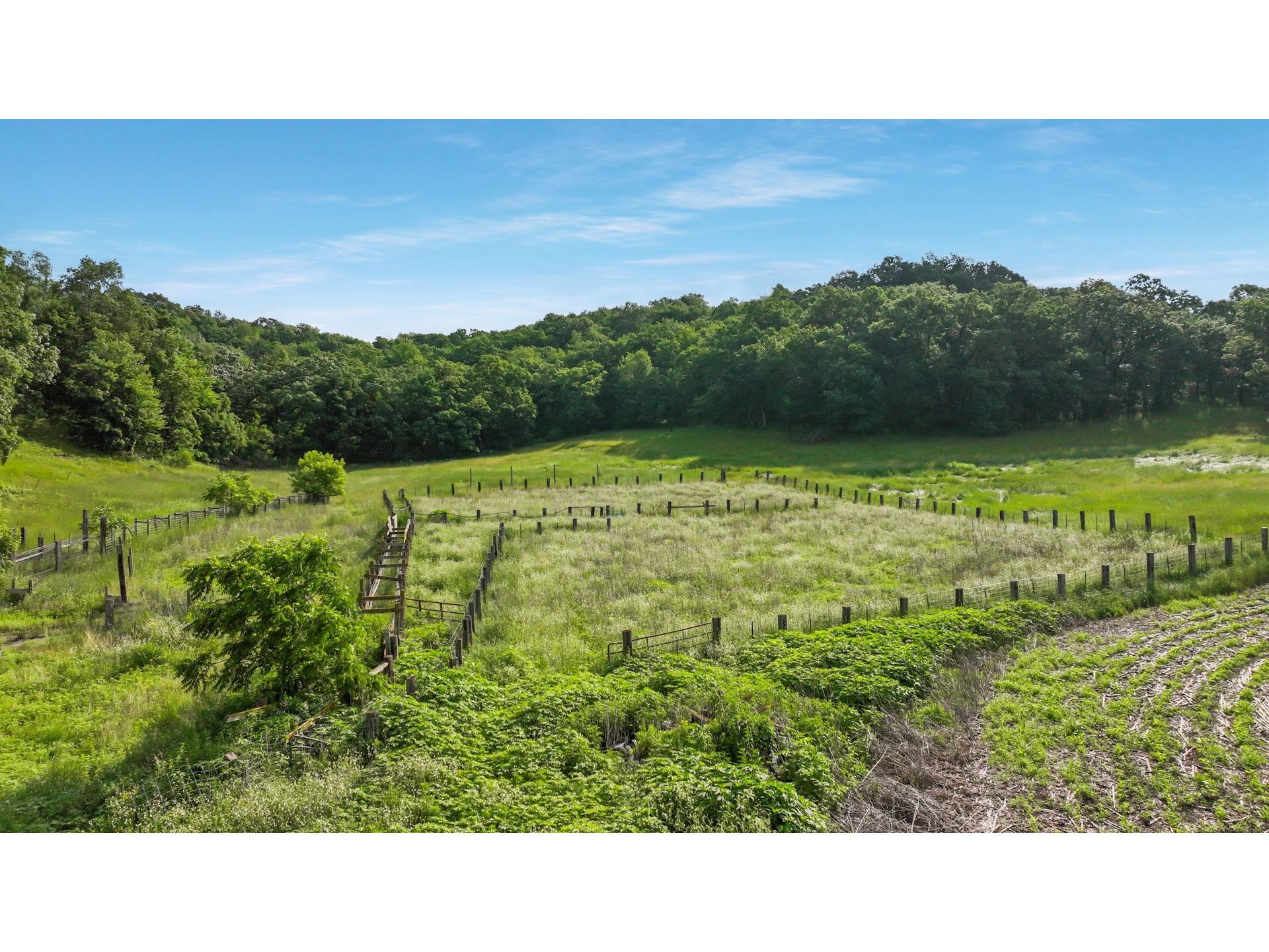 N3684 Claire Road Taylor WI 54659 1600164 image50