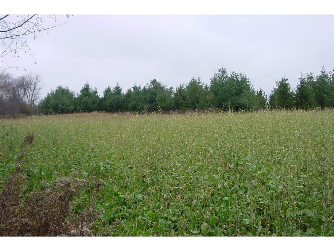 N3711 Cloverland Road Ladysmith WI 54848 1578183 image10