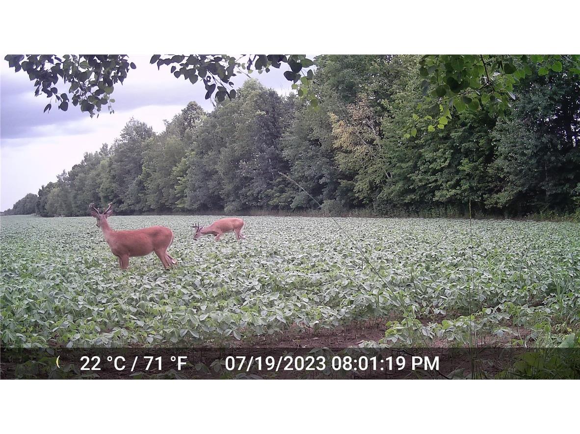 N3711 Cloverland Road Ladysmith WI 54848 1578183 image15