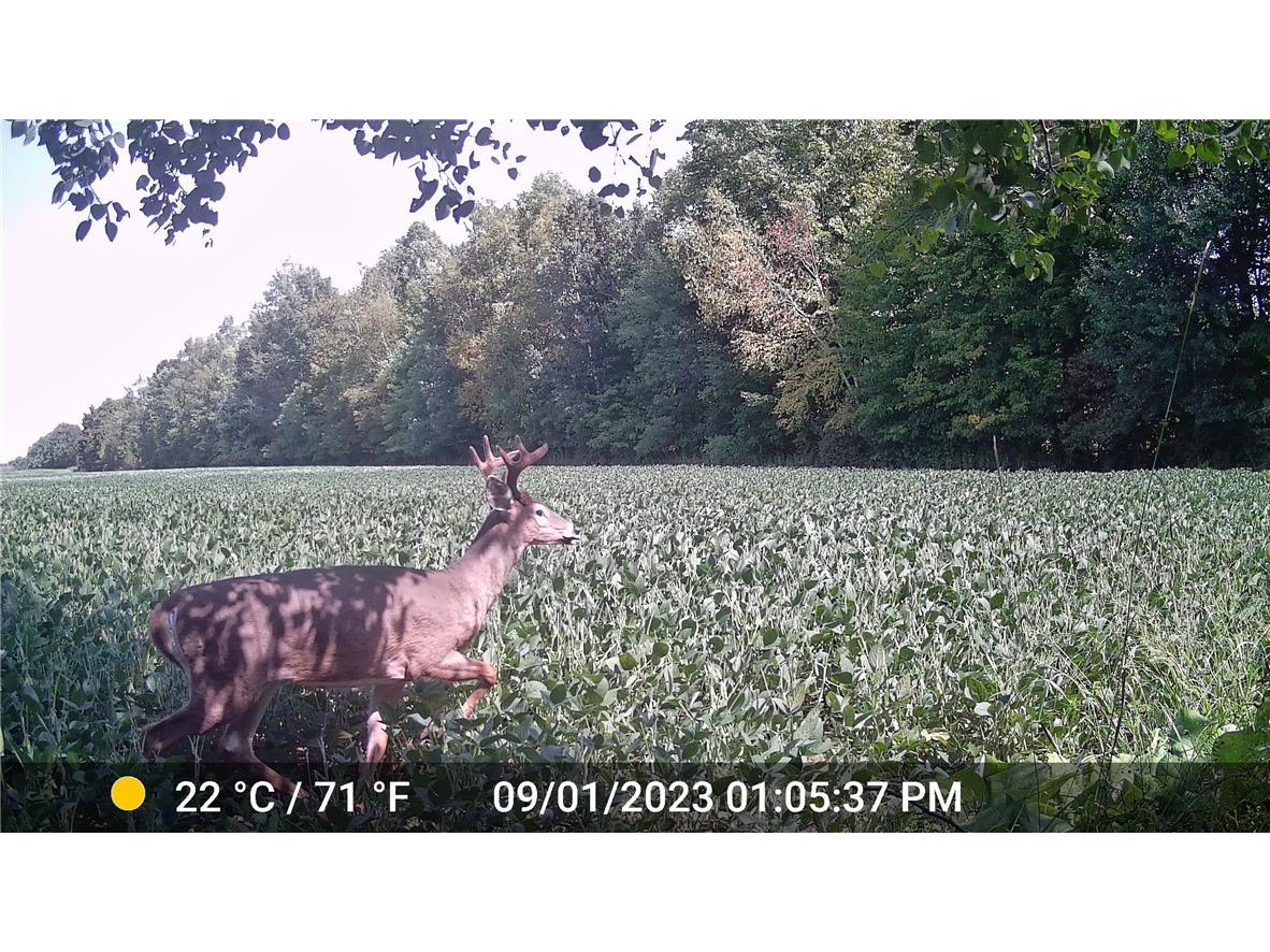 N3711 Cloverland Road Ladysmith WI 54848 1578183 image16