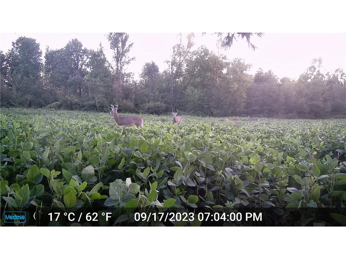 N3711 Cloverland Road Ladysmith WI 54848 1578183 image17