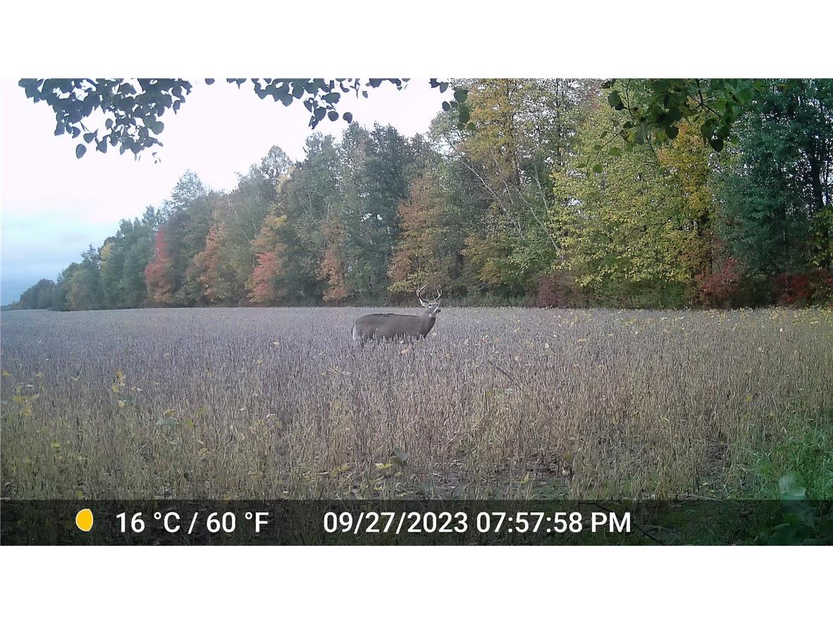 N3711 Cloverland Road Ladysmith WI 54848 1578183 image20