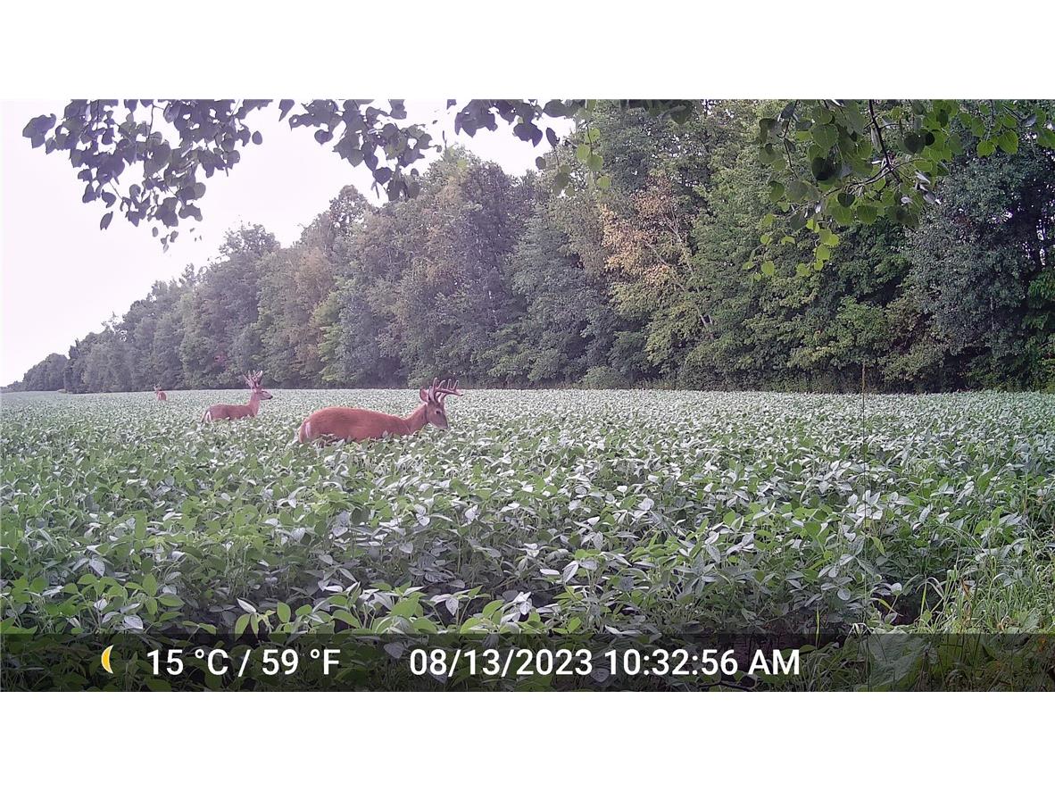 N3711 Cloverland Road Ladysmith WI 54848 1578183 image21