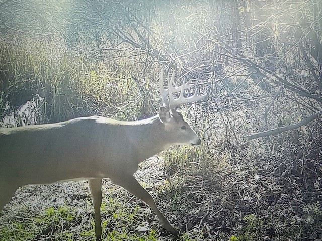 N3711 Cloverland Road Ladysmith WI 54848 1578183 image22