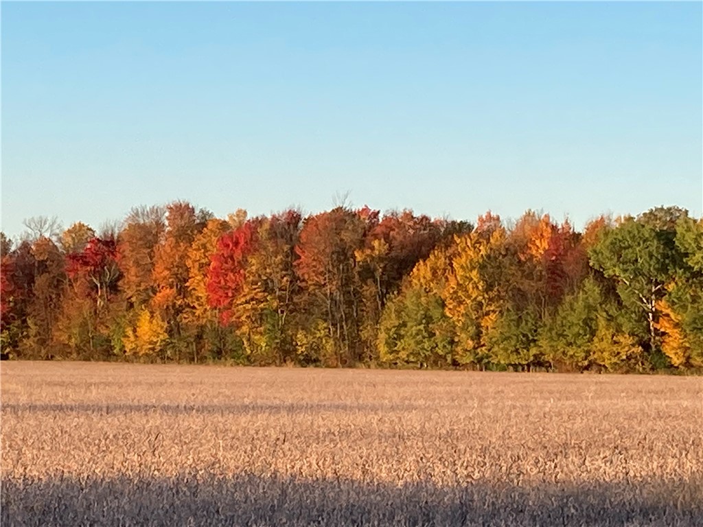 N3711 Cloverland Road Ladysmith WI 54848 1578183 image23