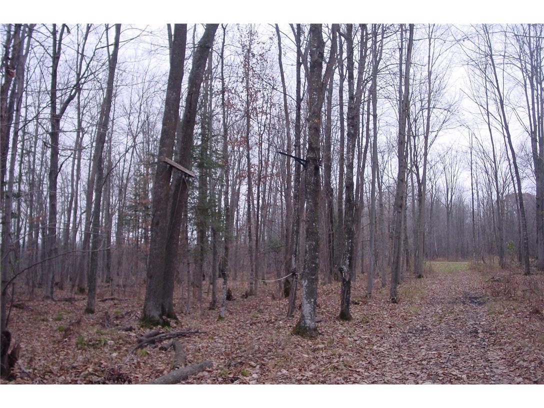 N3711 Cloverland Road Ladysmith WI 54848 1578183 image25