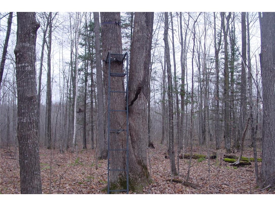 N3711 Cloverland Road Ladysmith WI 54848 1578183 image27