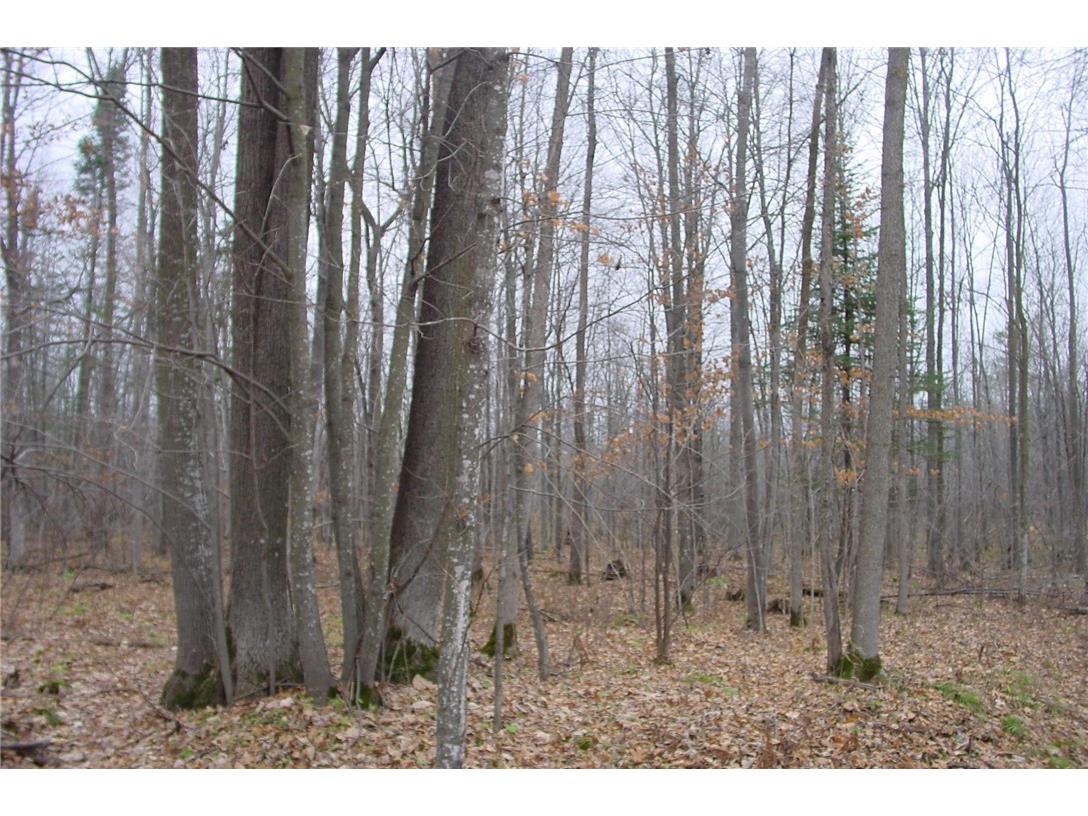 N3711 Cloverland Road Ladysmith WI 54848 1578183 image28