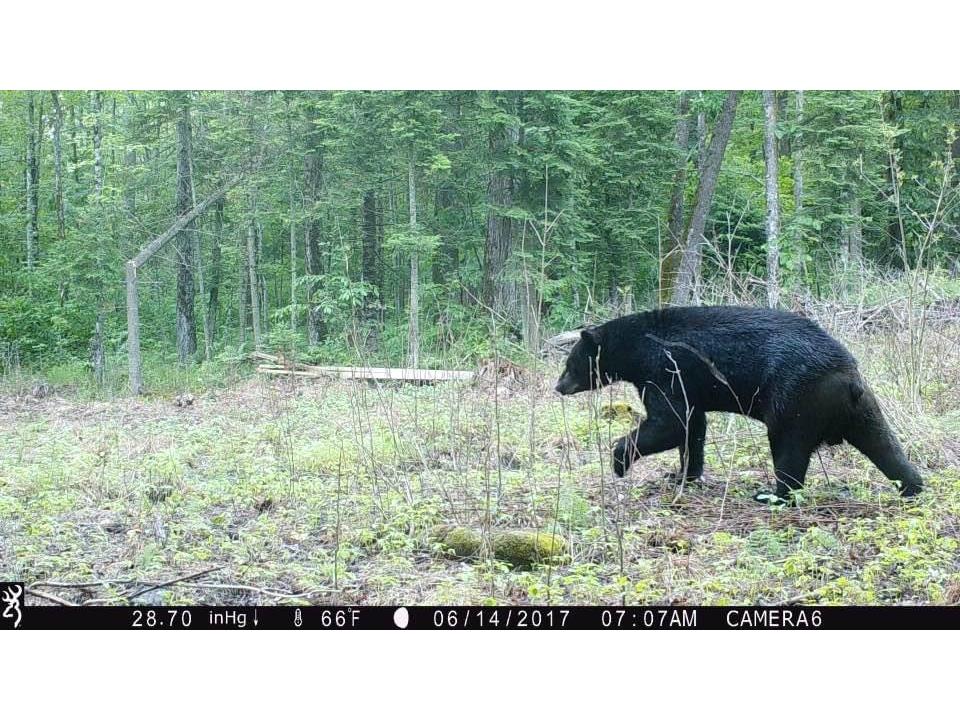 N3711 Cloverland Road Ladysmith WI 54848 1578183 image3